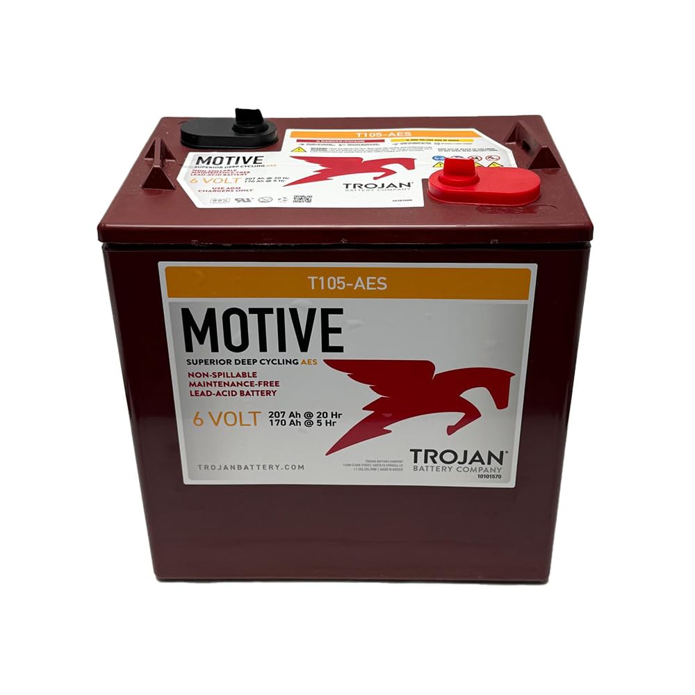 6V Deep Cycling VRLA AGM Batteries, Maroon, Pack of 4 Y266045