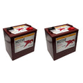 6V Deep Cycling VRLA AGM Batteries, Maroon, Pack of 4 Y266045