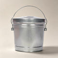6 Gal Galvanized Metal Bin Locking Lid P573813