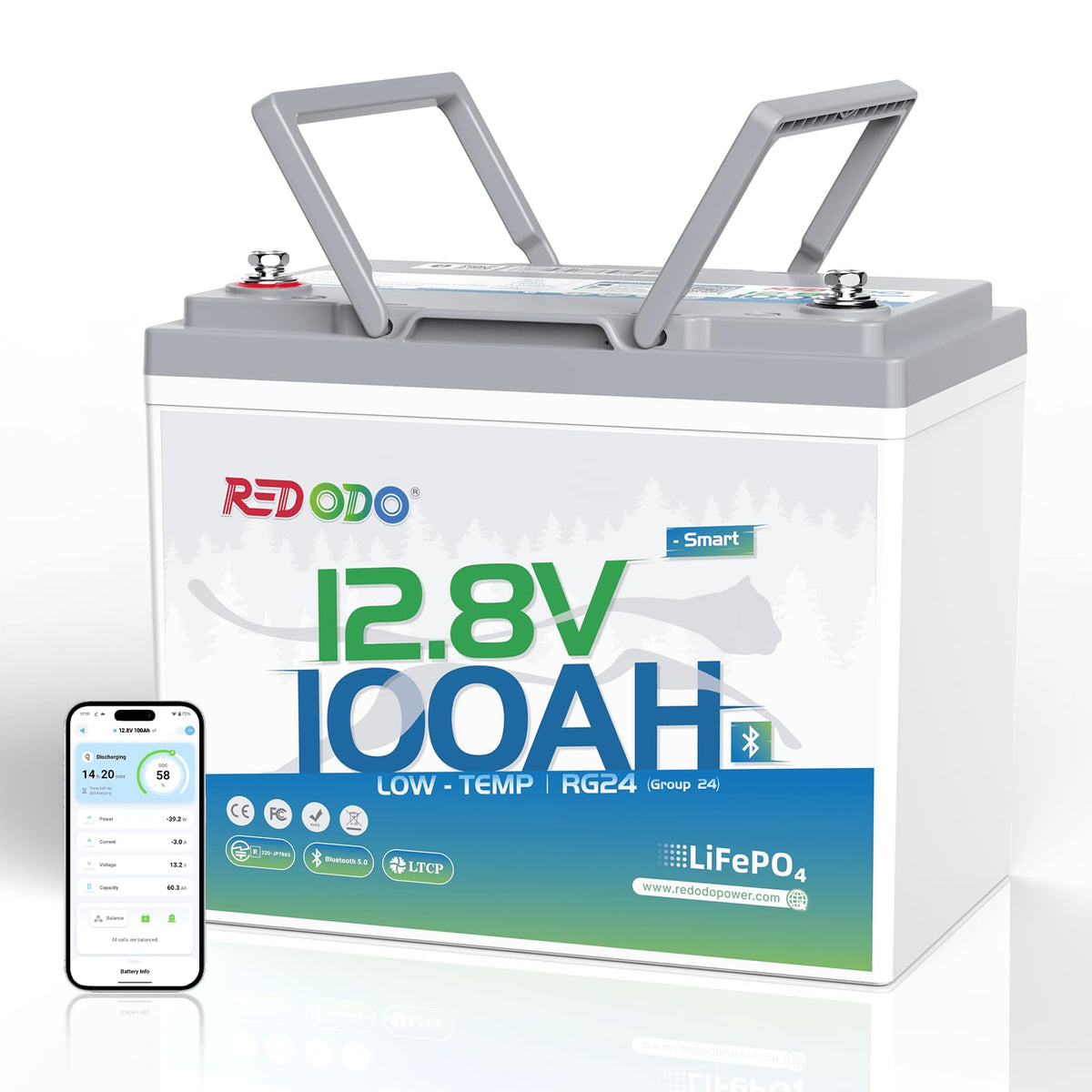 12V 100Ah Group 24 LiFePO4 Lithium Battery X720309