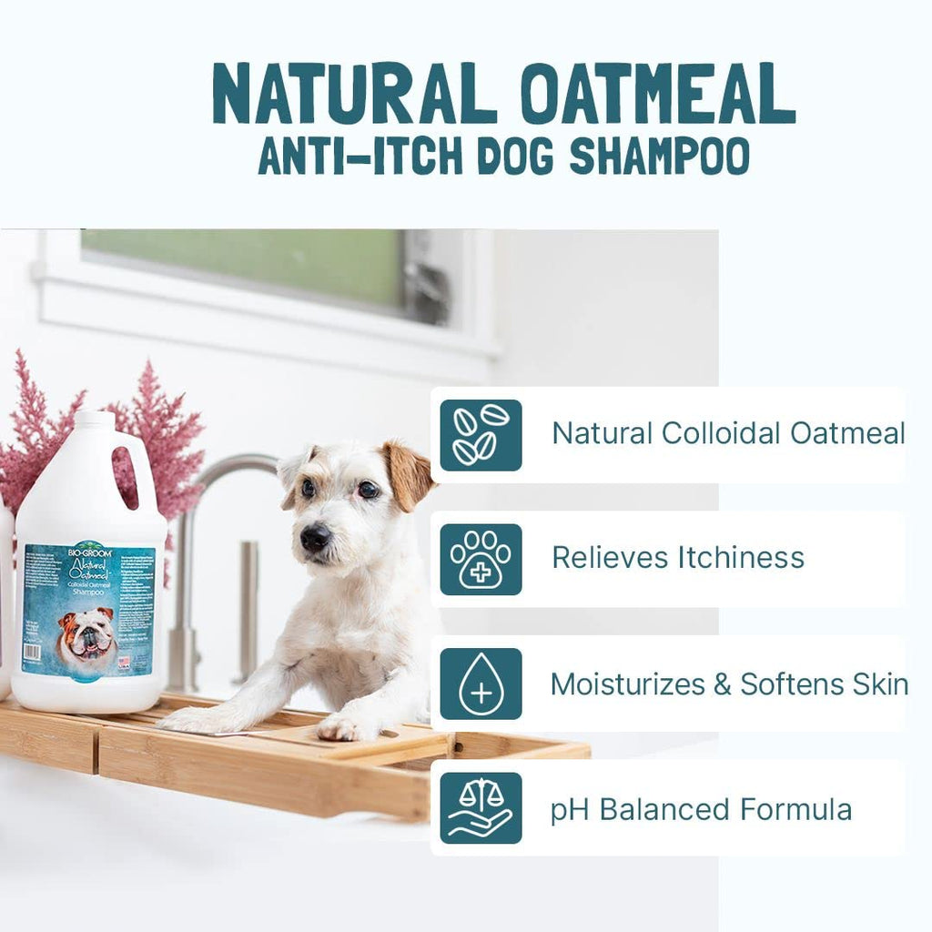 Oatmeal Dog Shampoo 1 Gallon N757741