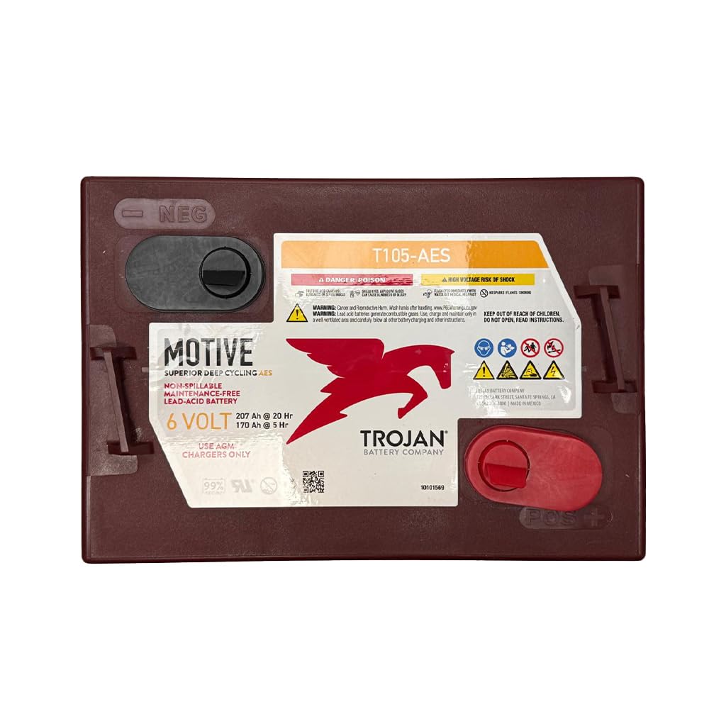 6V Deep Cycling VRLA AGM Batteries, Maroon, Pack of 4 Y266045
