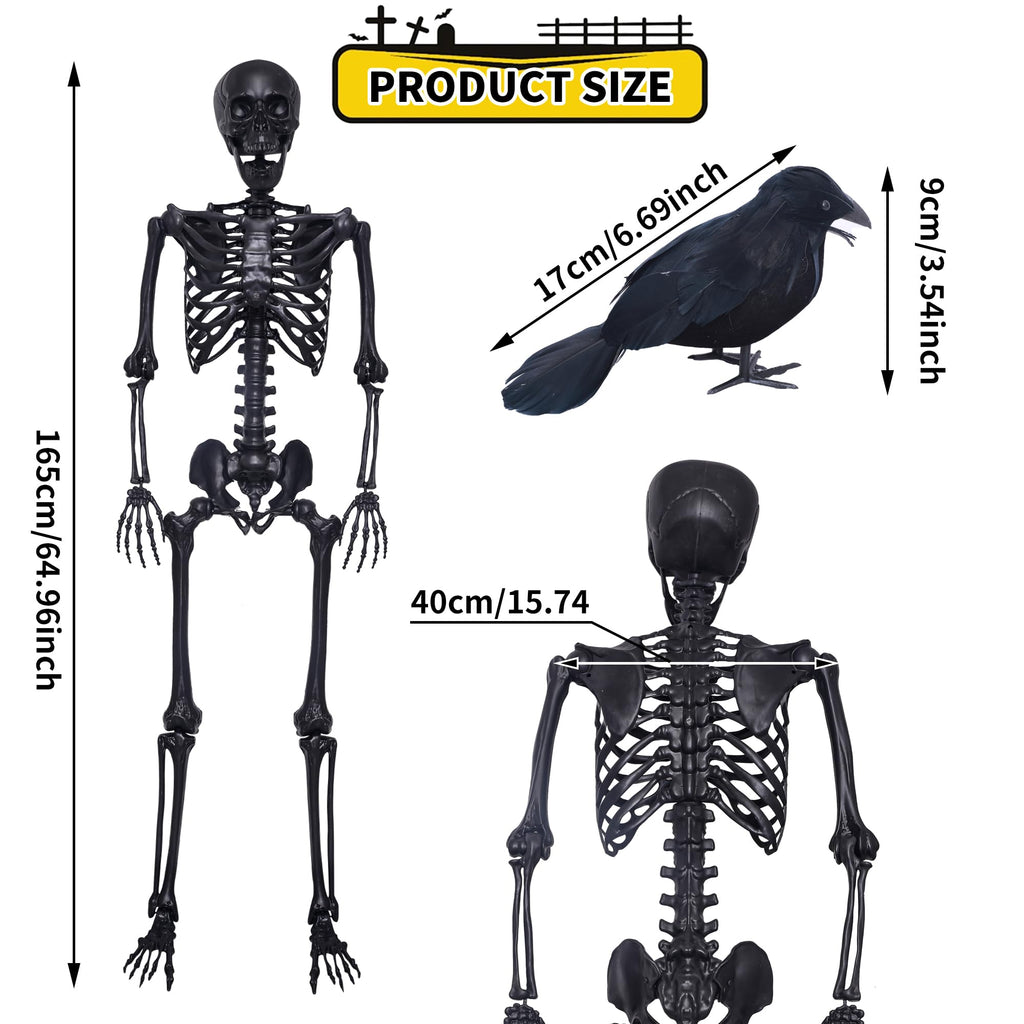 5.4Ft Posable Skeleton with Movable Joints and 2PC Black Feathered Crows D3006