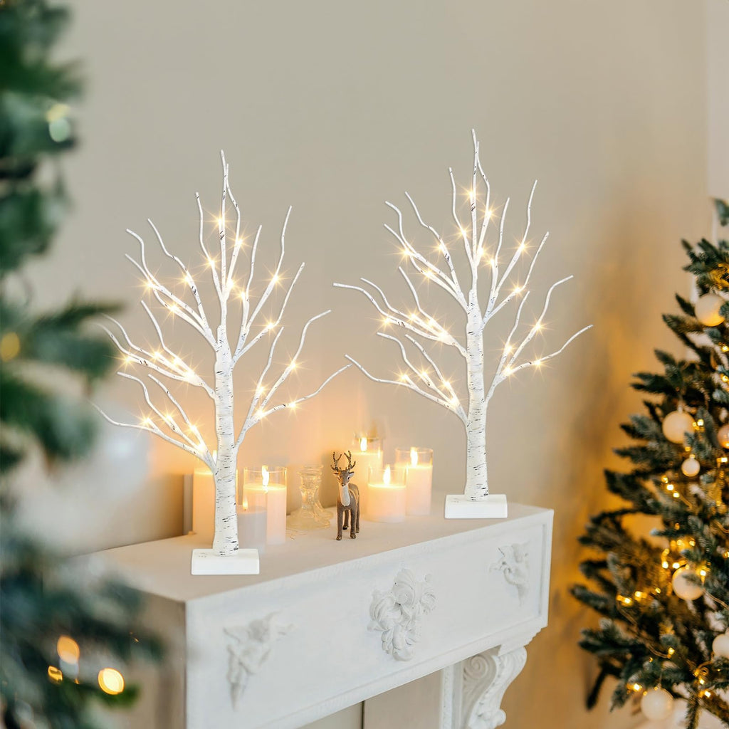 2FT Birch Tree with LED Lights U258091