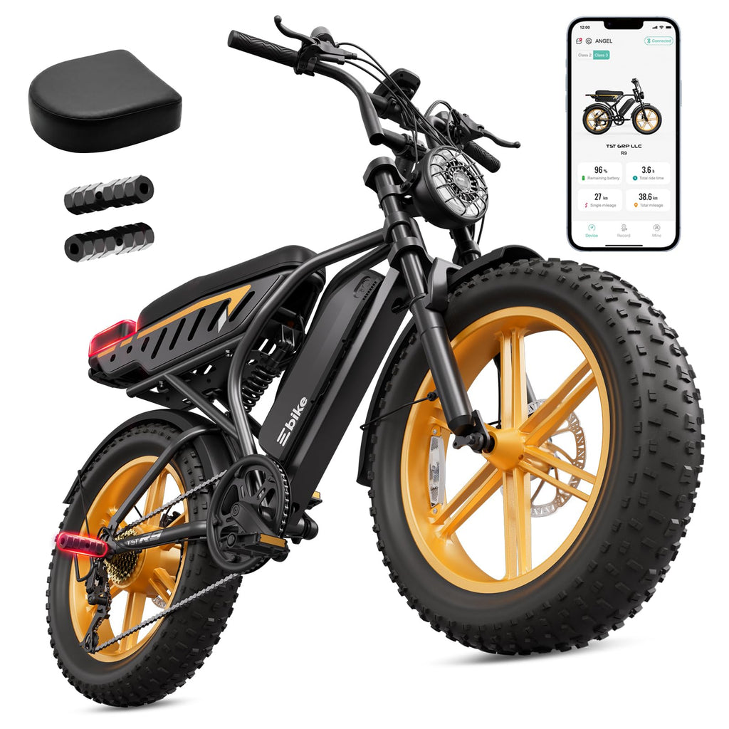48V 2000W Peak Motor 20 * 4.0 Fat Tire Electric Bike C350