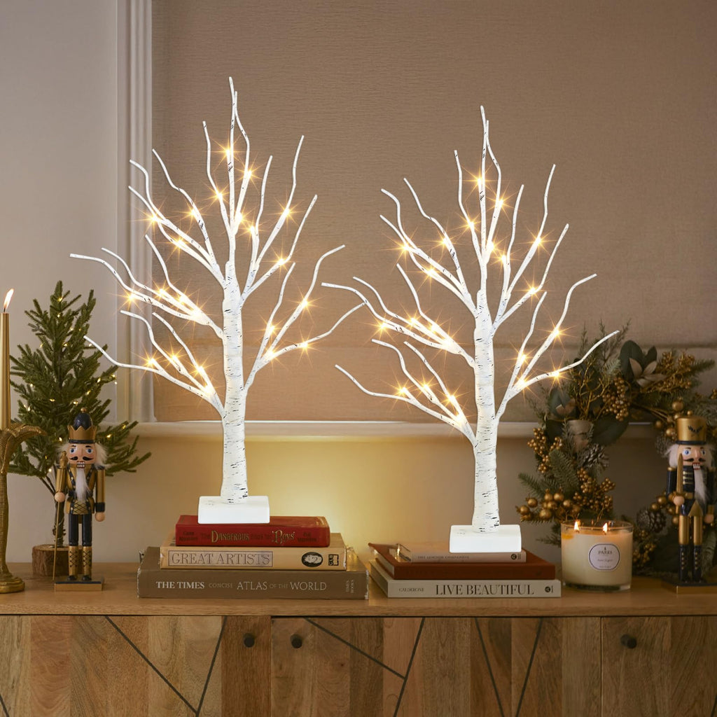 2FT Birch Tree with LED Lights U258091
