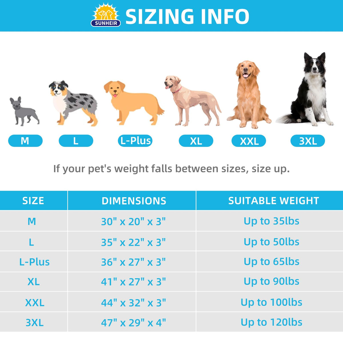 Washable Orthopedic Large Dog Bed H27990