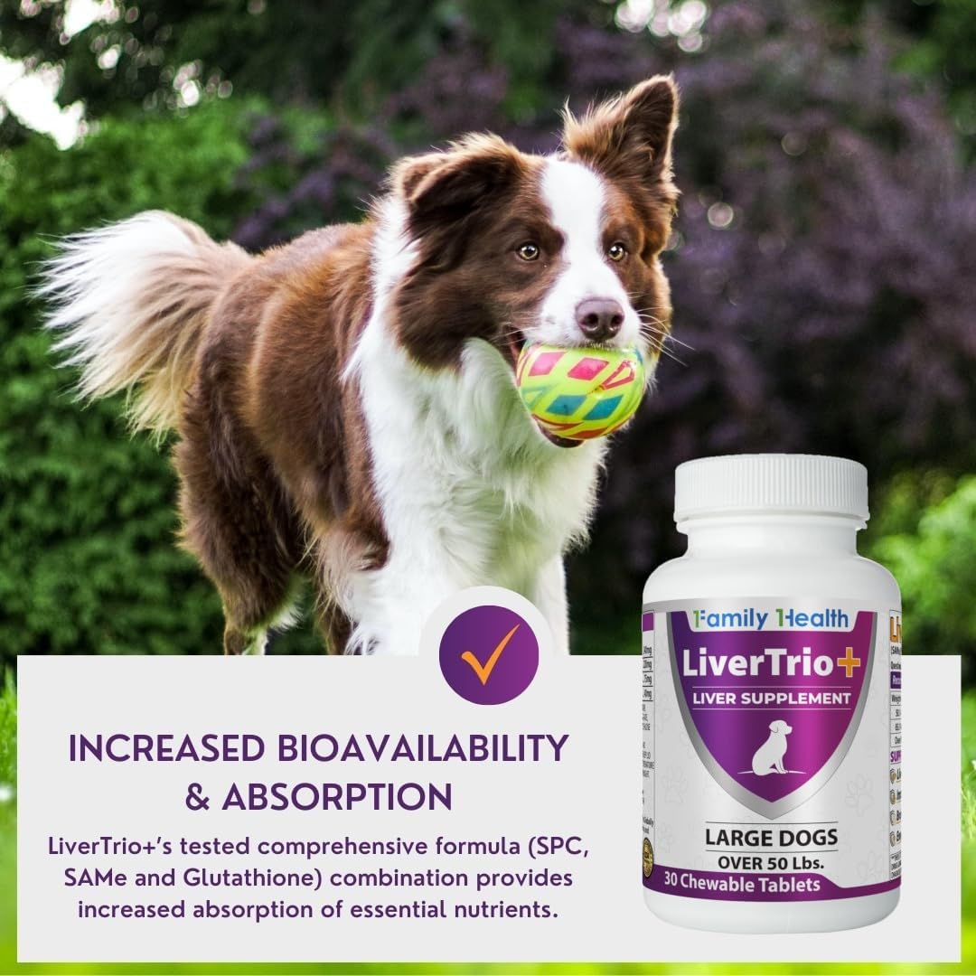 Liver Support Supplement for Large Dogs Chewable Tablets 30Ct J7350