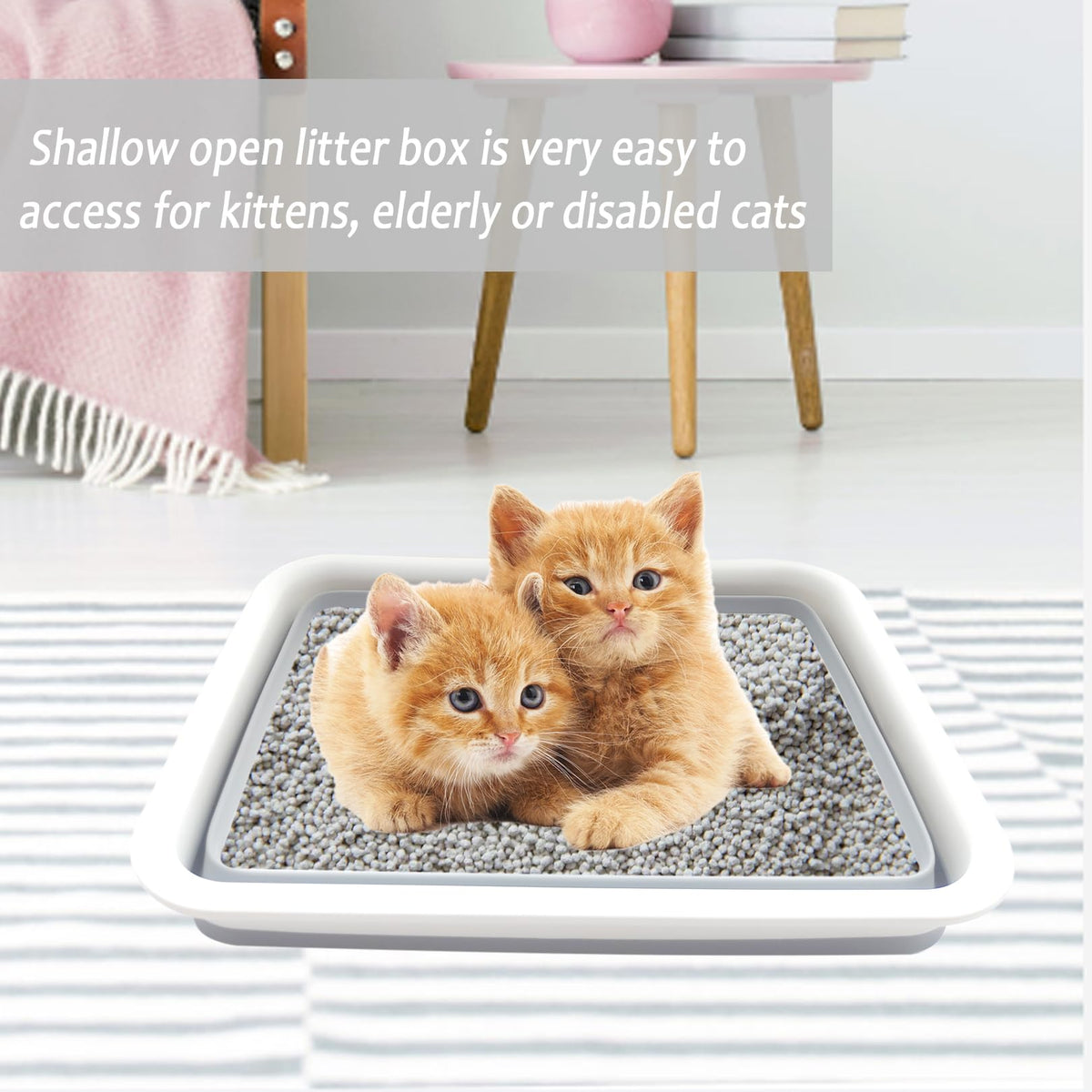 Collapsible Low Entry Small Cat Litter Box A379