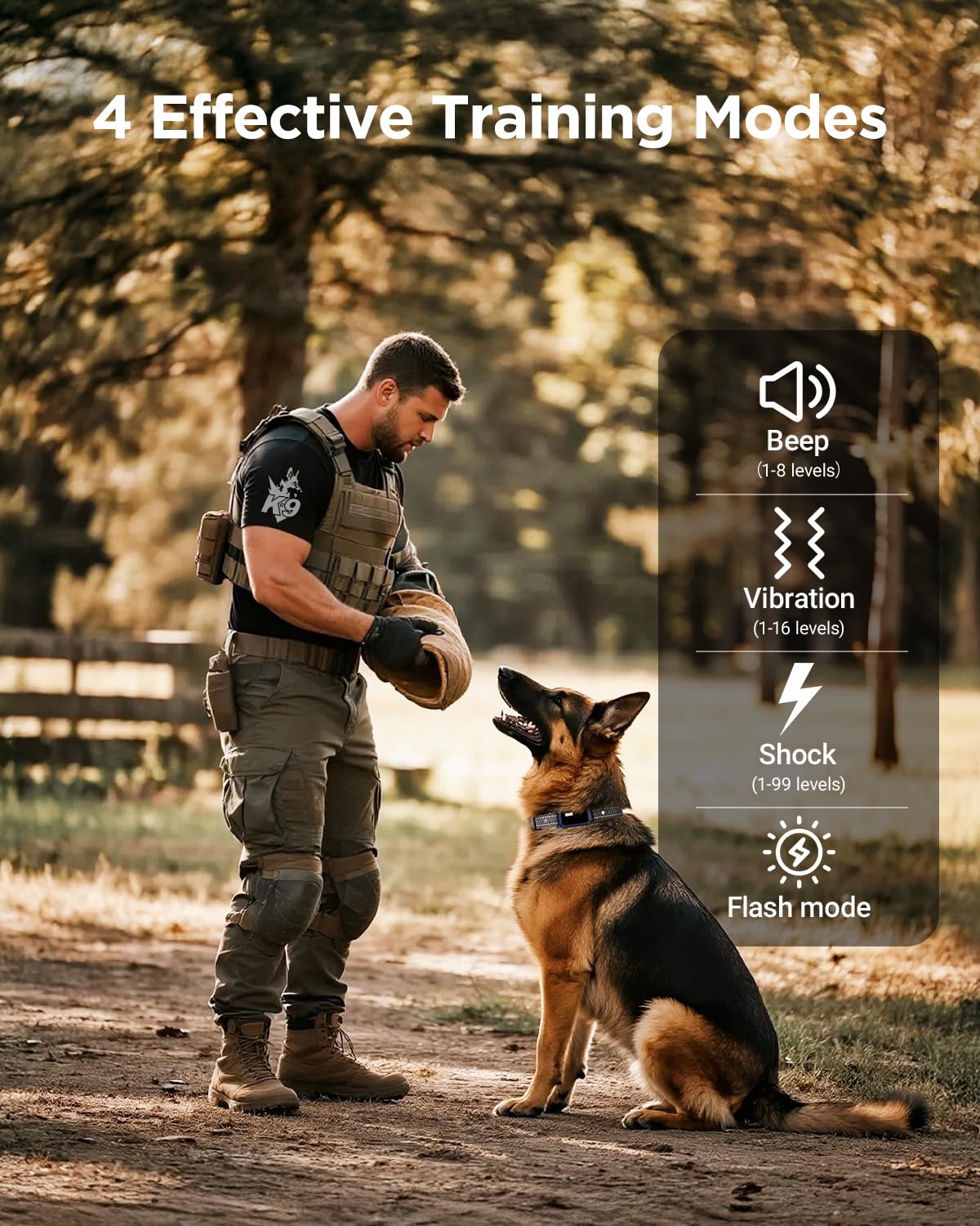 2 Dogs Dog Training Collar with Remote, 4 Training Modes, IP67 Waterproof Y74784