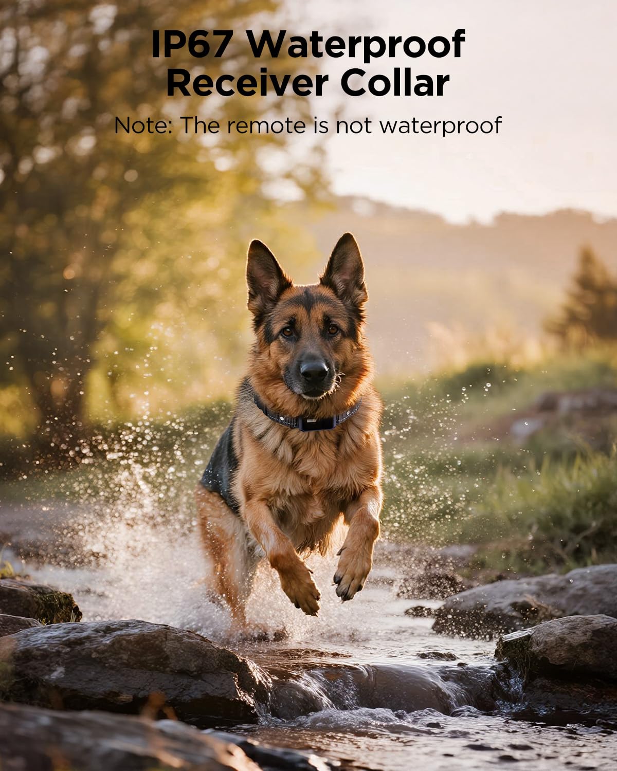 2 Dogs Dog Training Collar with Remote, 4 Training Modes, IP67 Waterproof Y74784