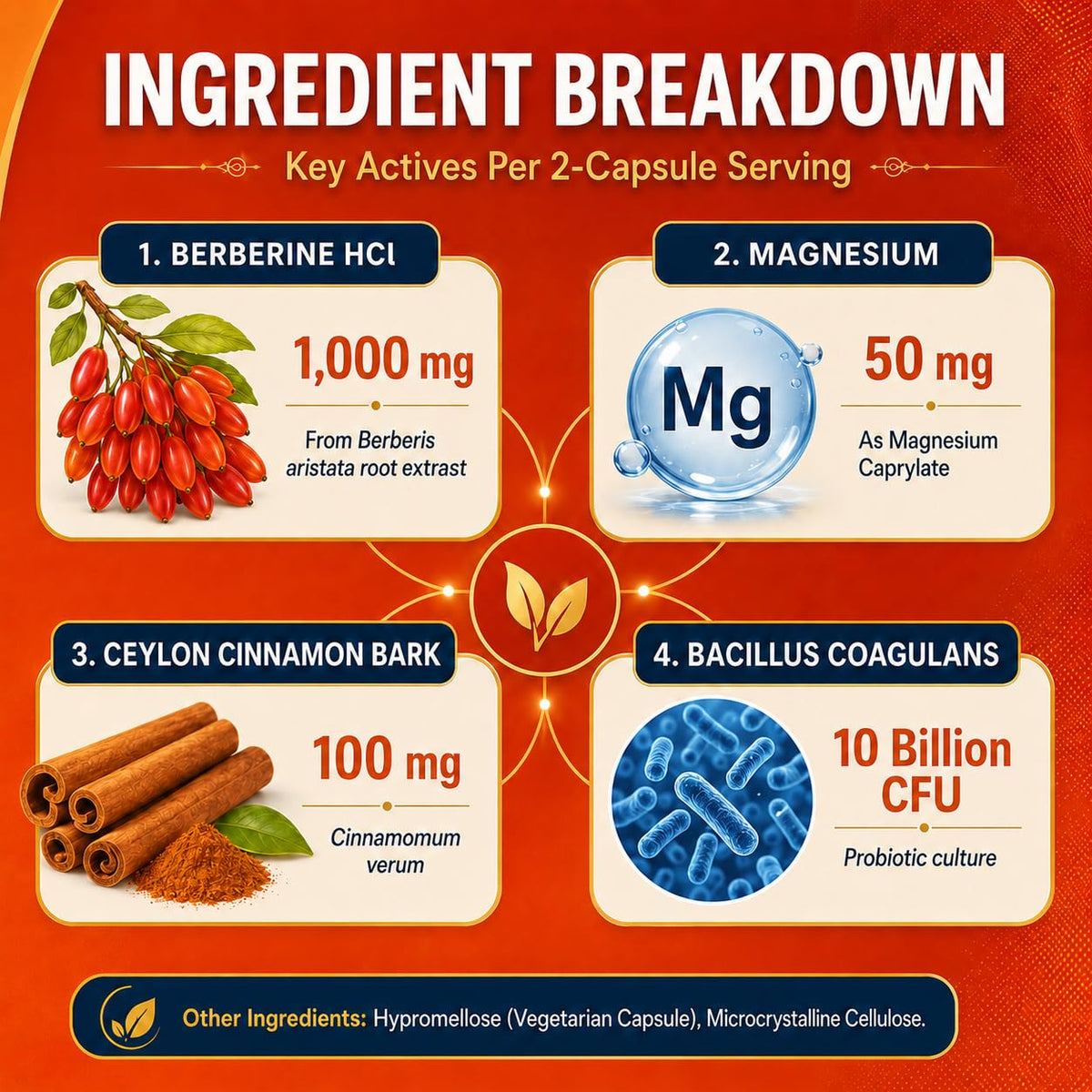 Berberine HCl 1000 mg with Ceylon Cinnamon and Probiotic, 60 Capsules D848