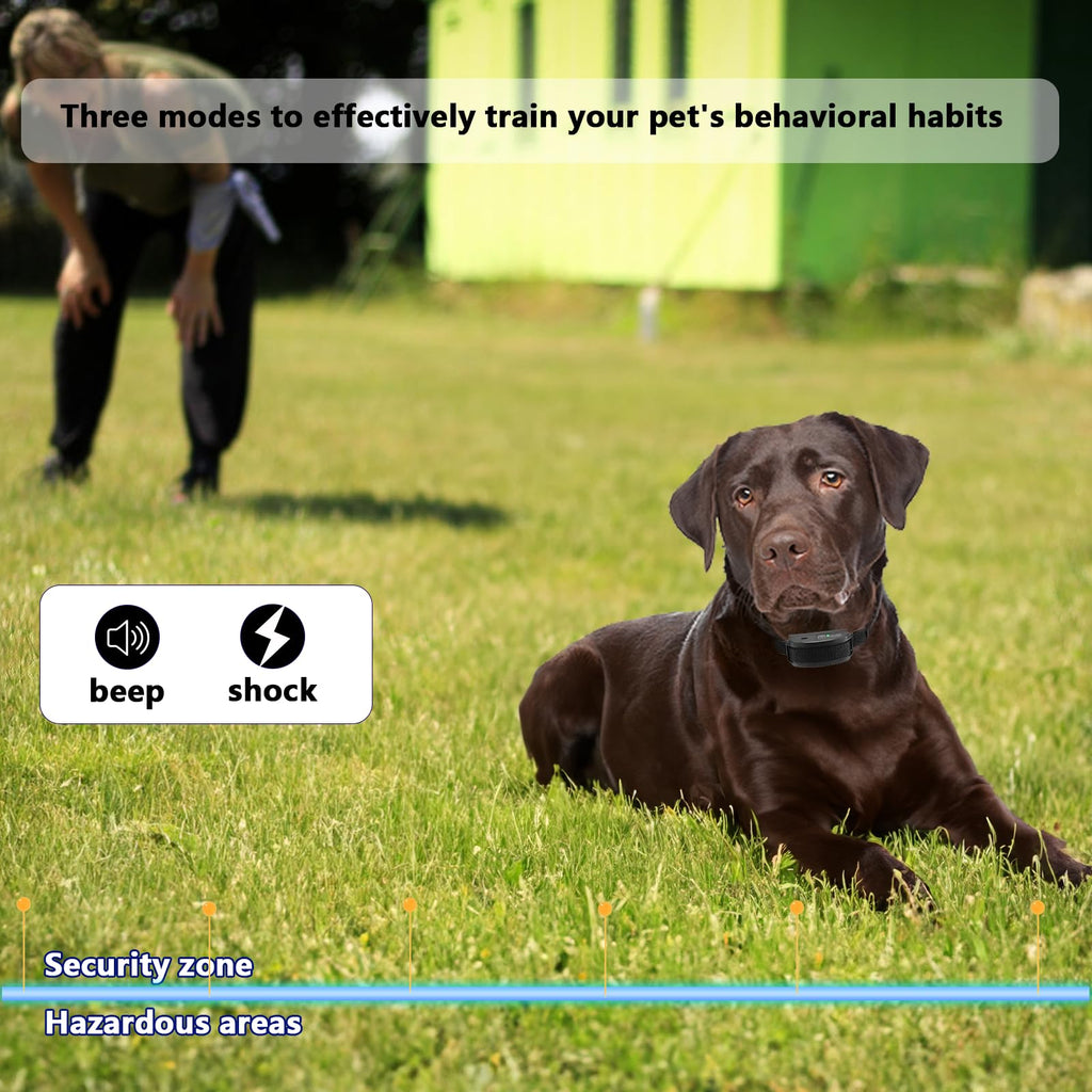 In-Ground Electric Dog Fence System with 2 Collars F10317