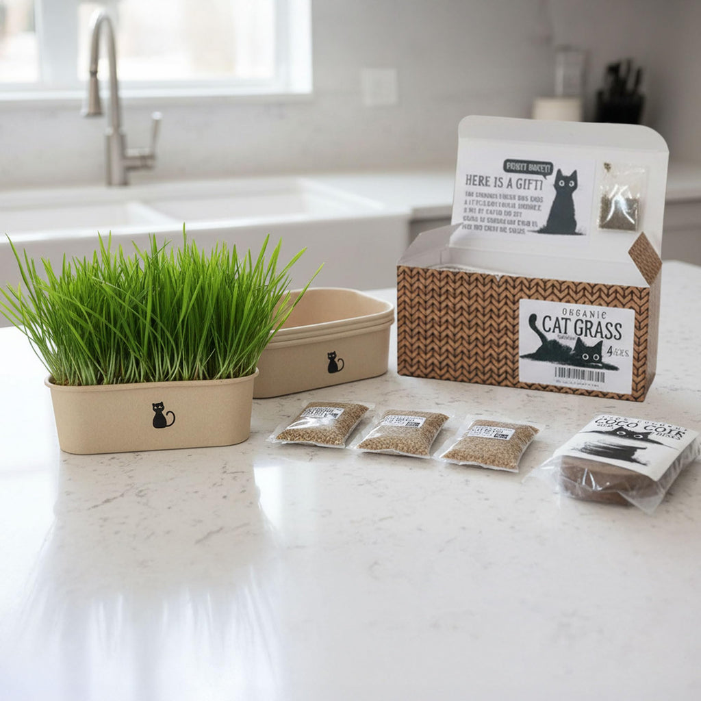 4-Batch Indoor Cat Grass Grow Kit with Containers, Soil Disks & Seeds G390