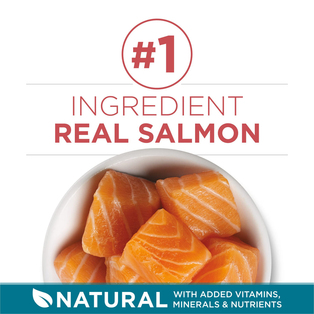 Dry Cat Food, Salmon, 7 lb Bag N7349
