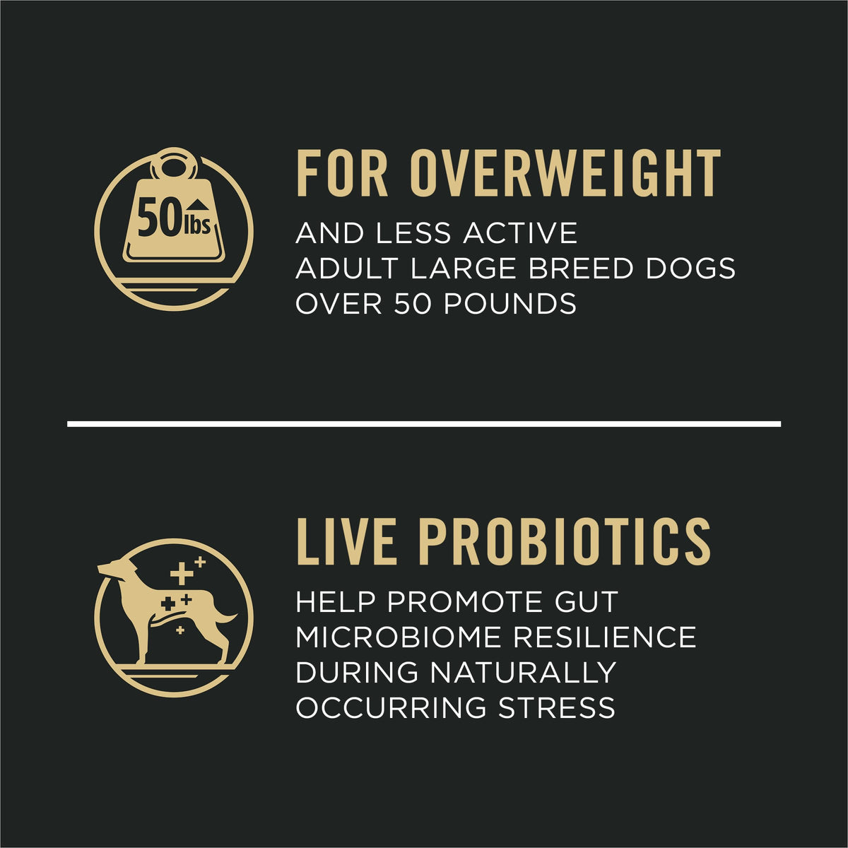 Weight Management Large Breed Dog Food Chicken 34 lb Bag A777