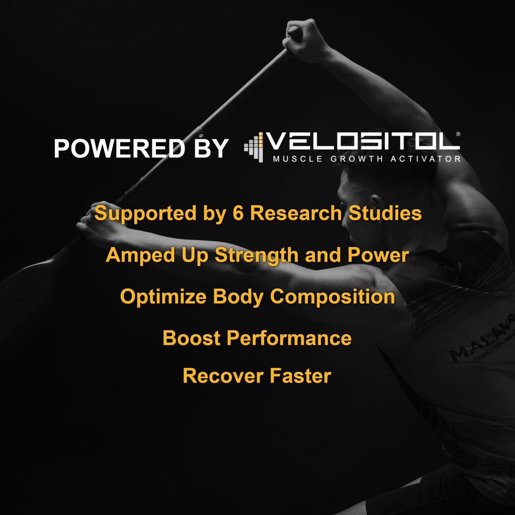 Vanilla Vegan Plant Based Protein Powder B743