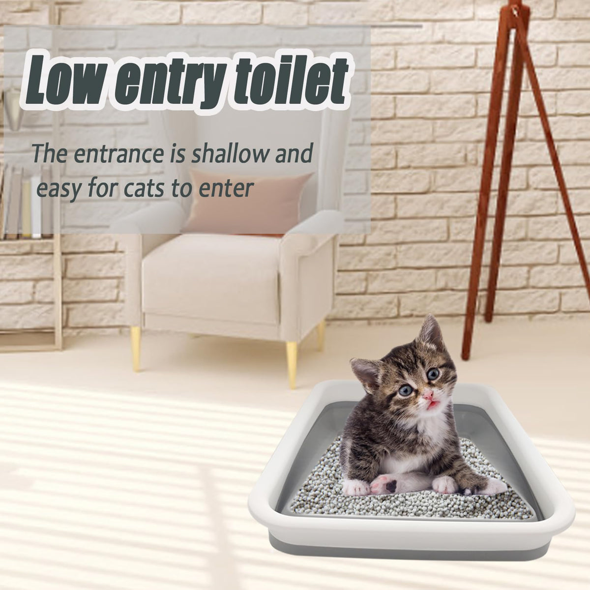 Collapsible Low Entry Small Cat Litter Box A379