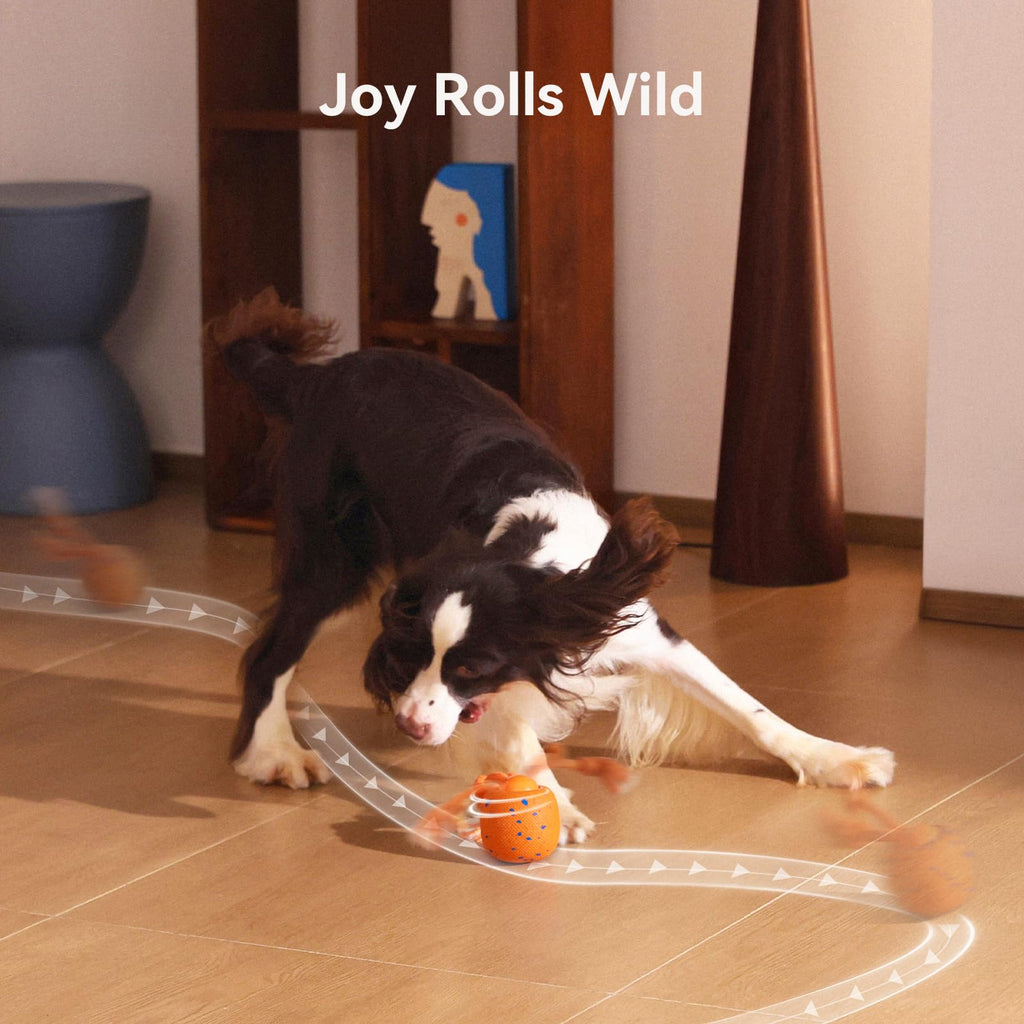 Interactive Dog Ball I43699