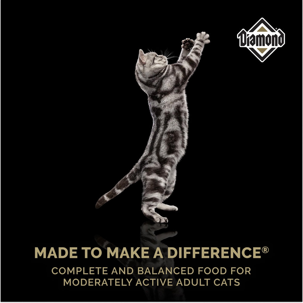 Adult Dry Cat Food Chicken Protein 40lb Y41547