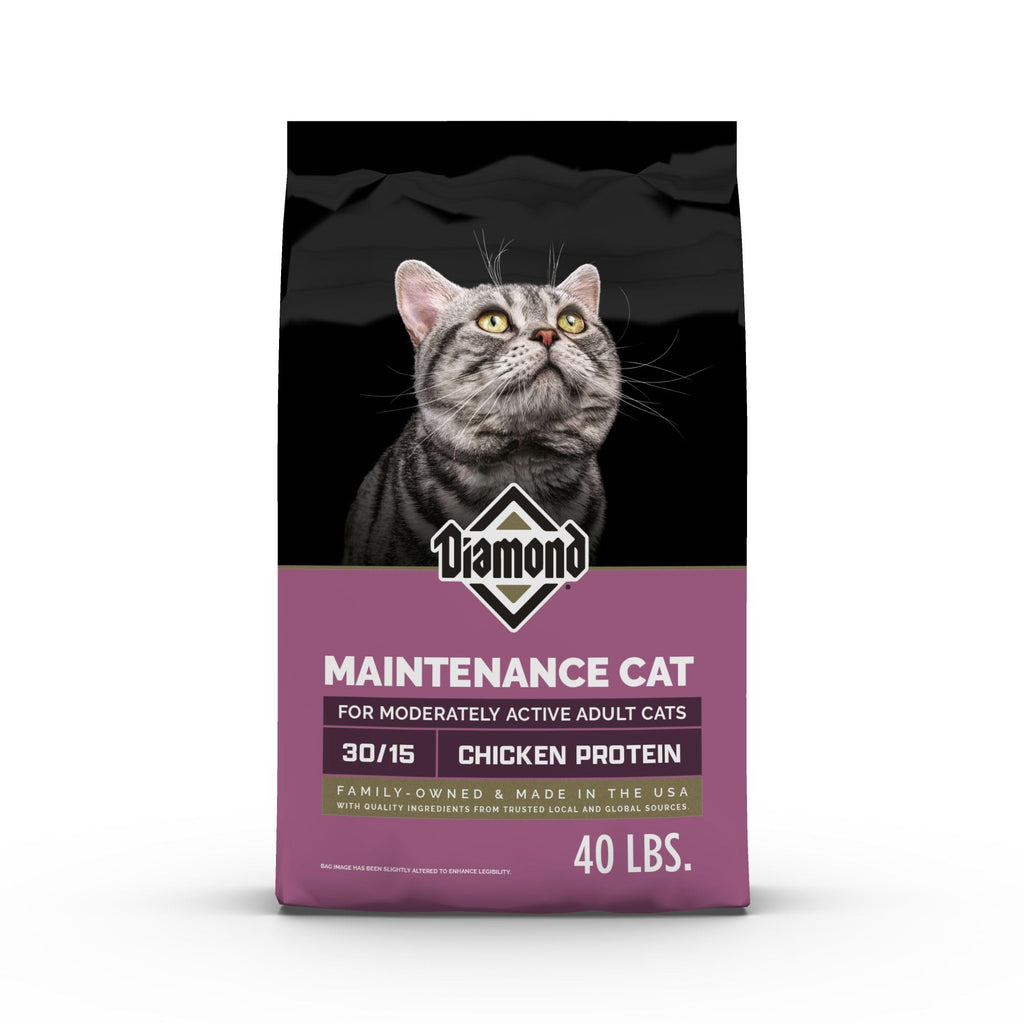 Adult Dry Cat Food Chicken Protein 40lb Y41547