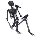 5.4Ft Posable Skeleton with Movable Joints and 2PC Black Feathered Crows D3006