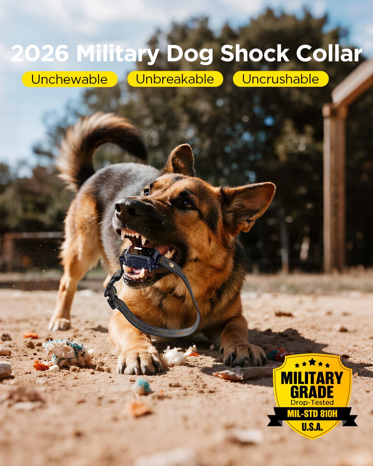 2 Dogs Dog Training Collar with Remote, 4 Training Modes, IP67 Waterproof Y74784