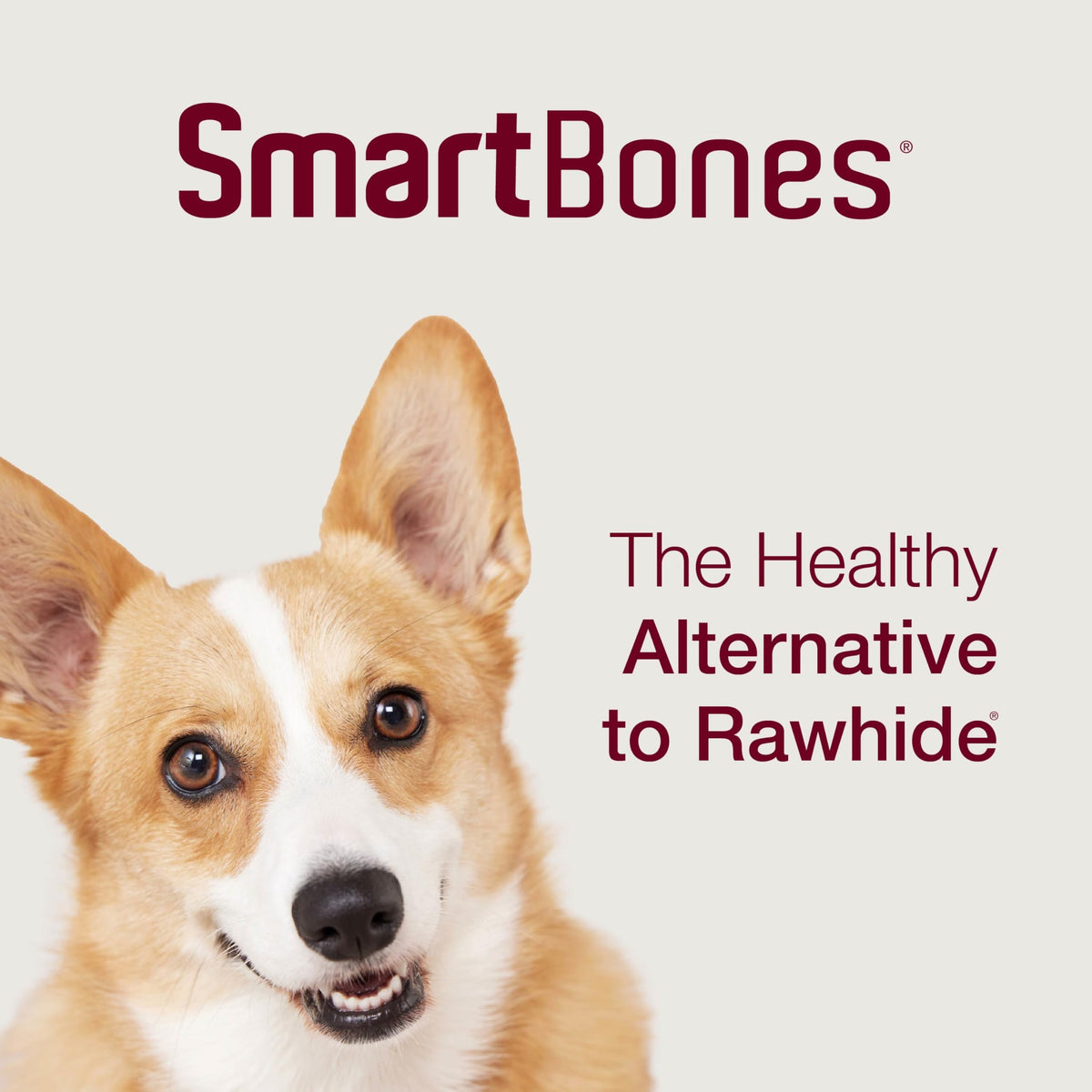 Mini Rawhide-Free Chews for Dogs G130