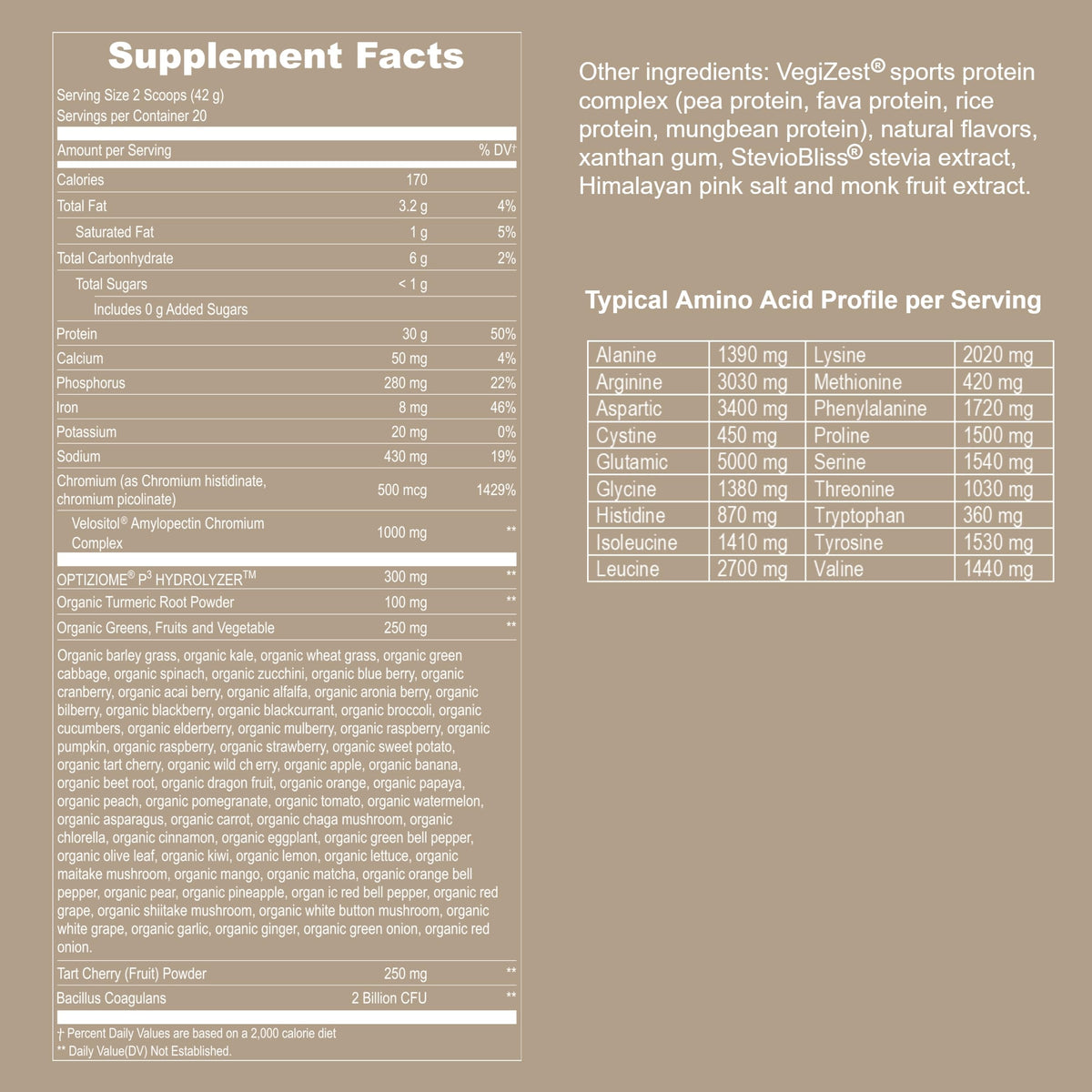 Vanilla Vegan Plant Based Protein Powder B743