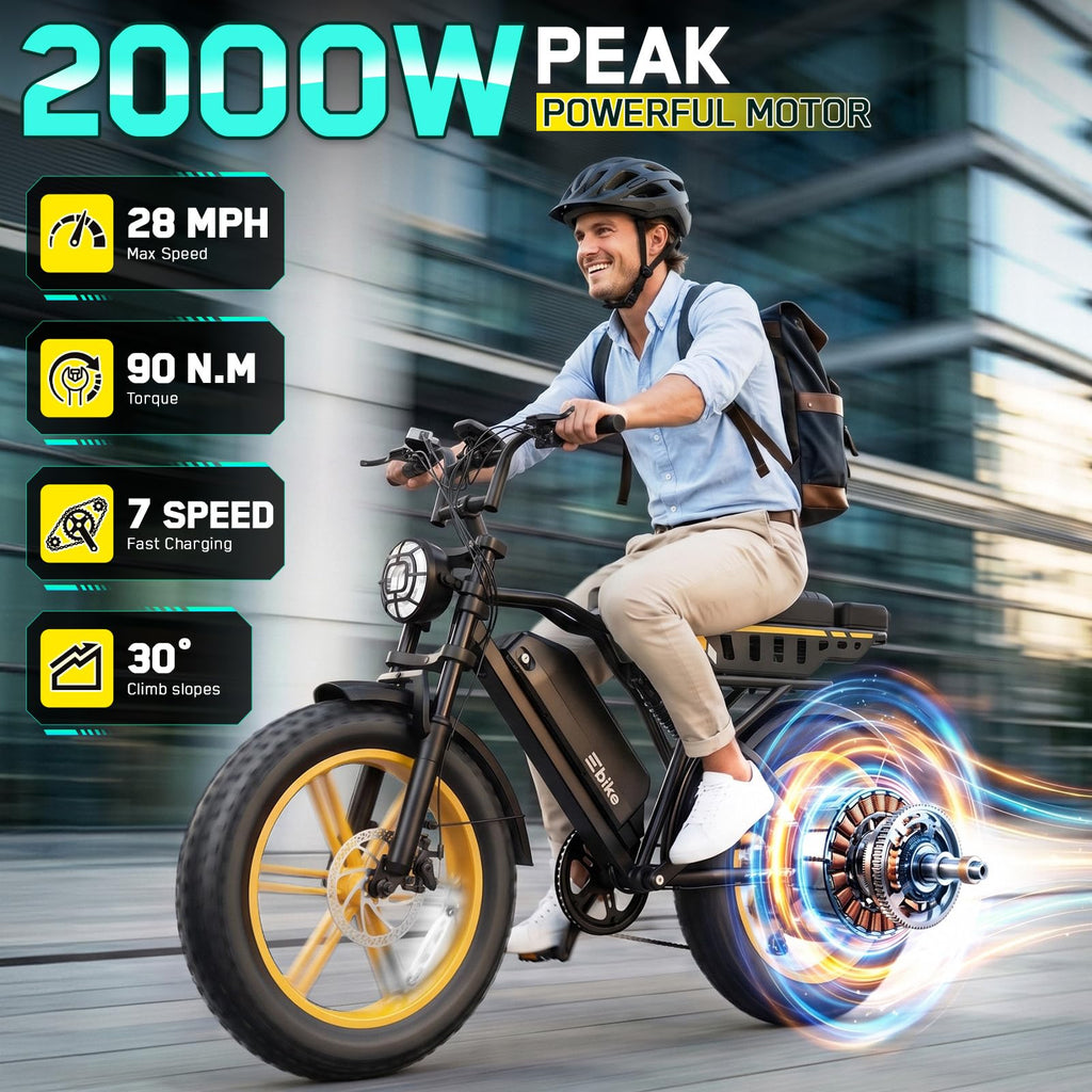 48V 2000W Peak Motor 20 * 4.0 Fat Tire Electric Bike C350