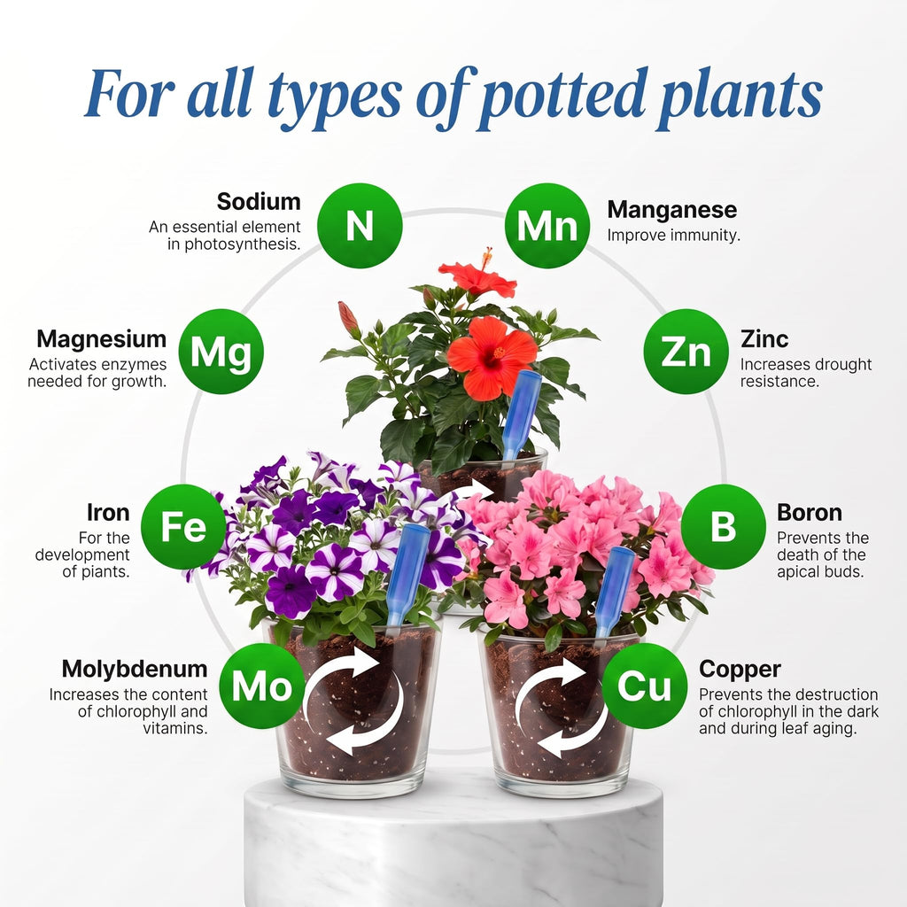 Liquid Plant Food Fertilizer 6-Pack Concentrated Nutrient Solution S190171