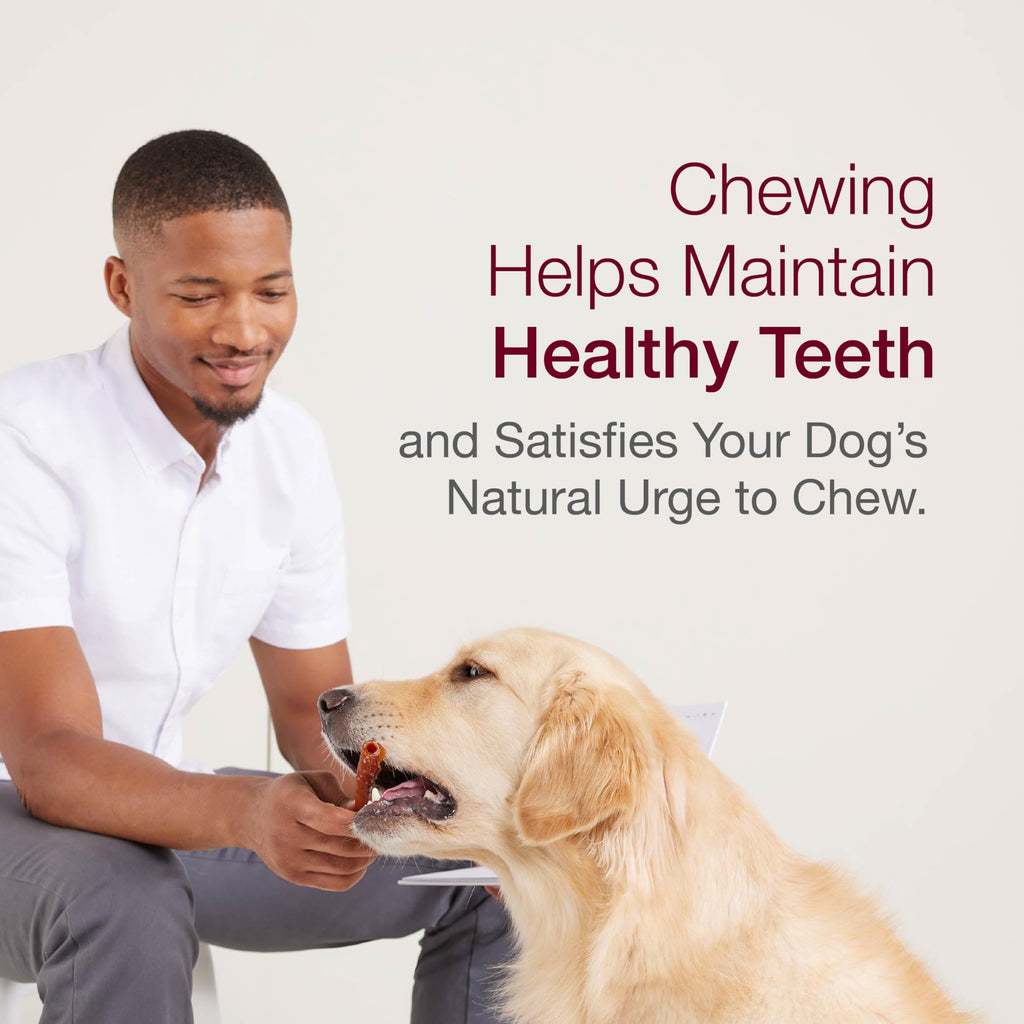Mini Rawhide-Free Chews for Dogs G130