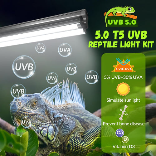 24W T5 5.0 UVB Reptile Light Fixture Combo Kit P421910