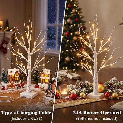 2FT Birch Tree with LED Lights U258091