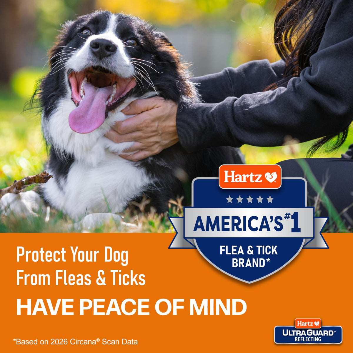 Flea & Tick Collar for Dogs and Puppies Y8435