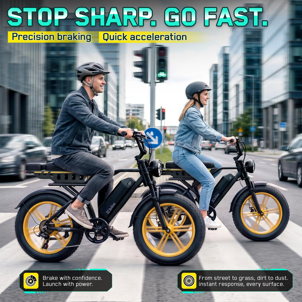48V 2000W Peak Motor 20 * 4.0 Fat Tire Electric Bike C350