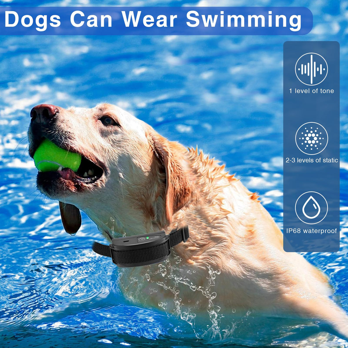 In-Ground Electric Dog Fence System with 2 Collars F10317