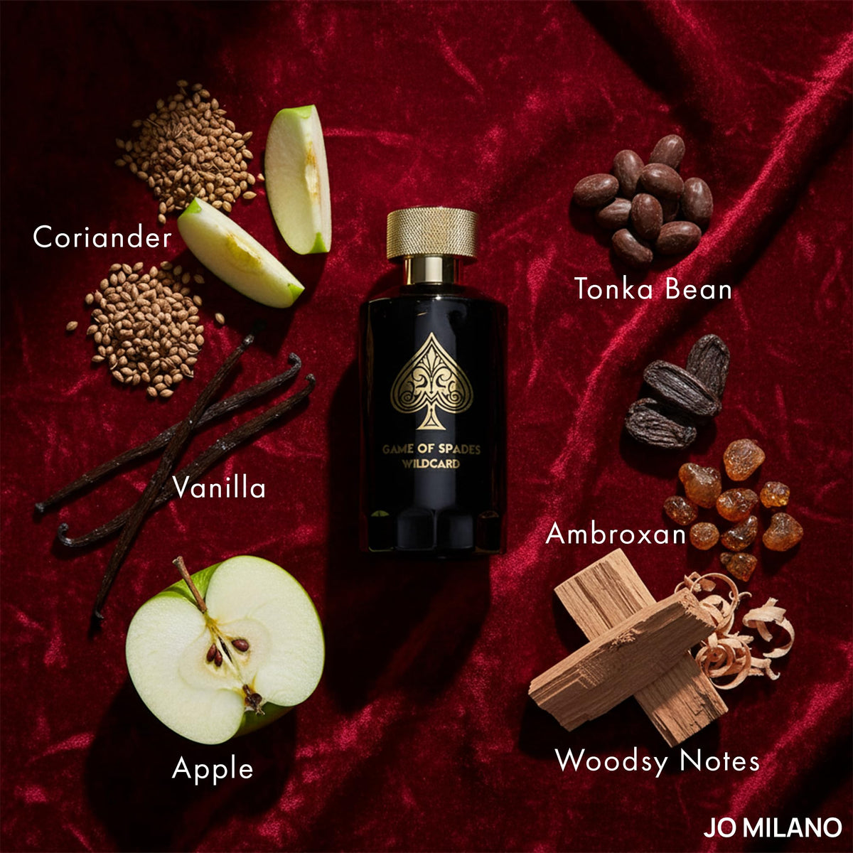 Parfum Spray 3.4 oz Vanilla Apple Tonka Oud Wood Bergamot E9954