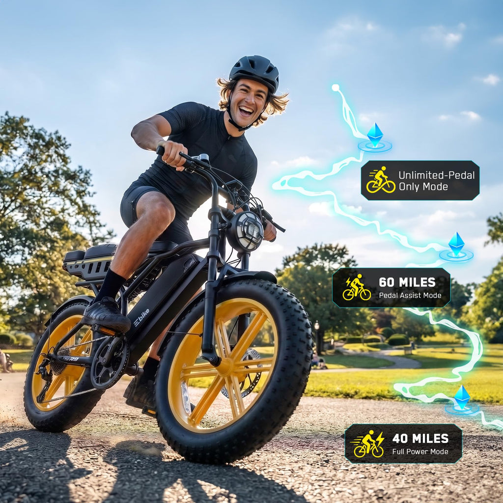 48V 2000W Peak Motor 20 * 4.0 Fat Tire Electric Bike C350