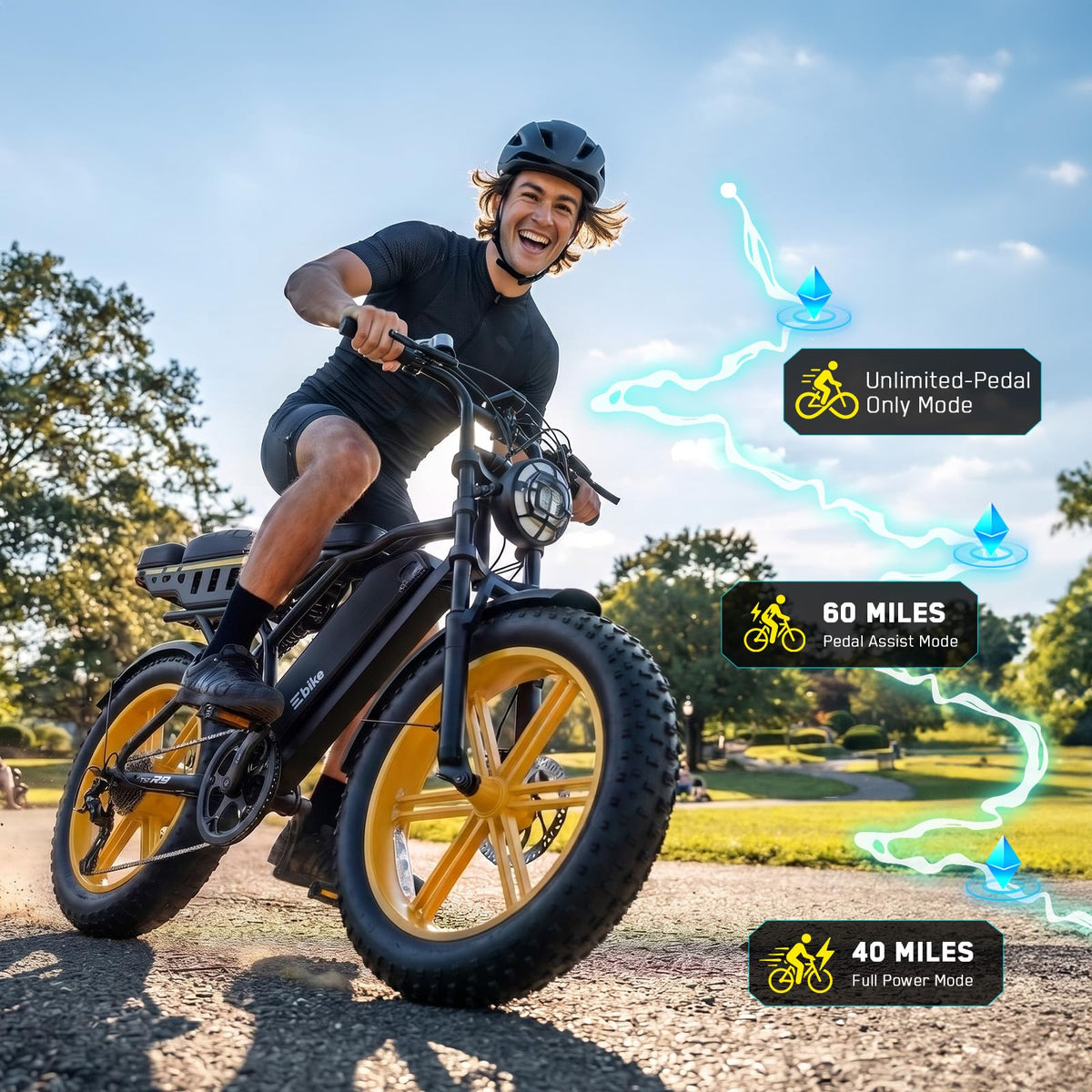 48V 2000W Peak Motor 20 * 4.0 Fat Tire Electric Bike C350