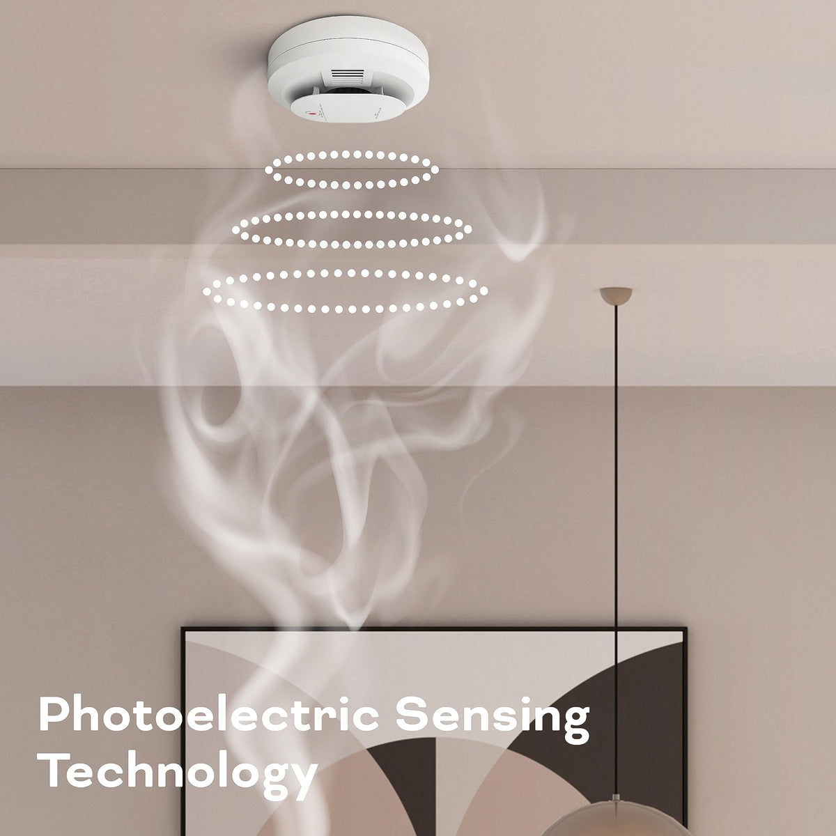 Hardwired Smoke & Carbon Monoxide Detector with Battery Backup, 2 Count Y461767