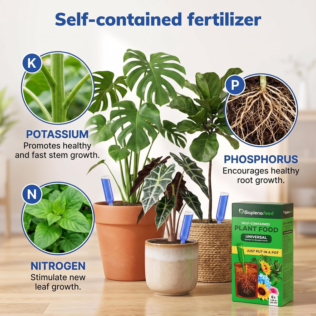 Liquid Plant Food Fertilizer 6-Pack Concentrated Nutrient Solution S190171