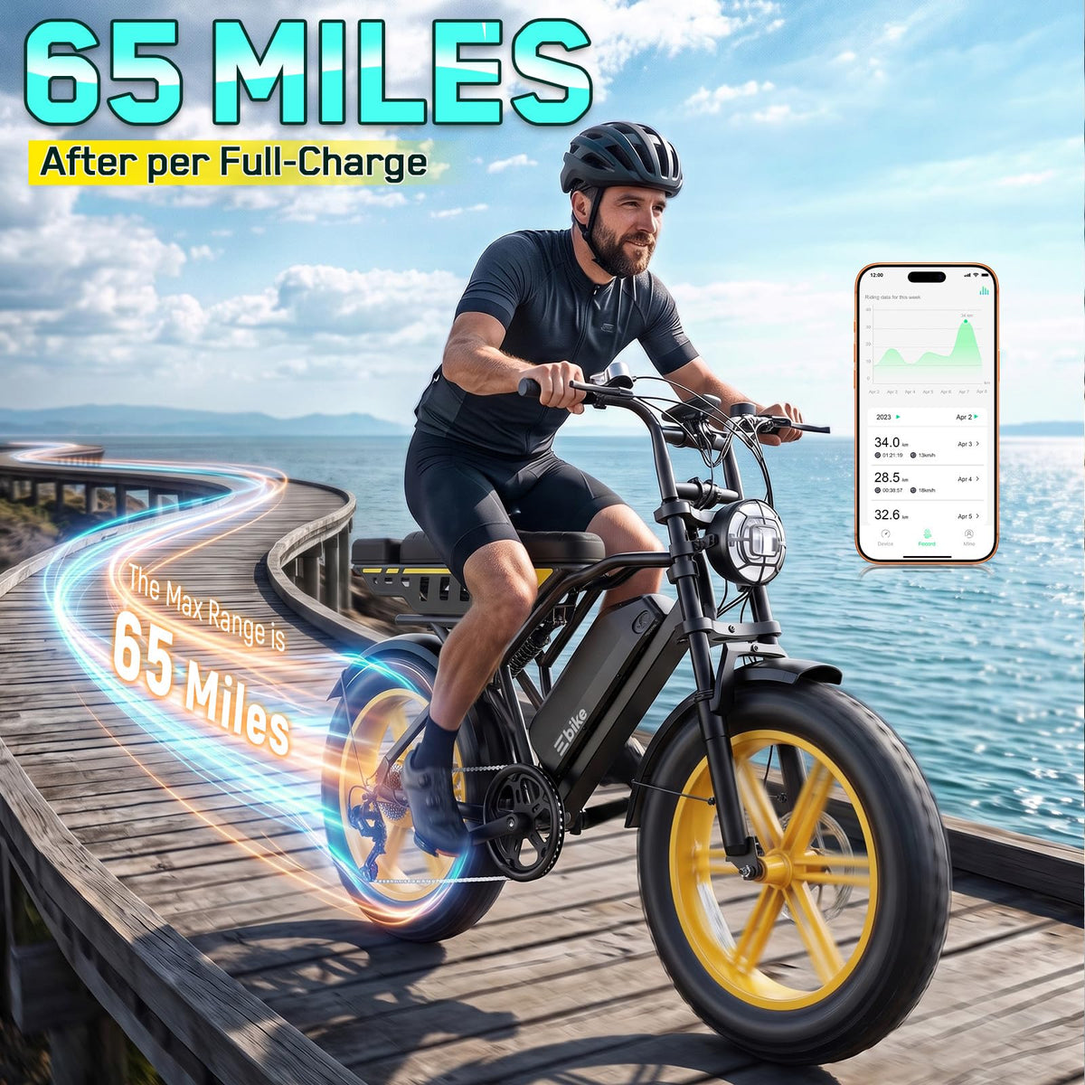 48V 2000W Peak Motor 20 * 4.0 Fat Tire Electric Bike C350