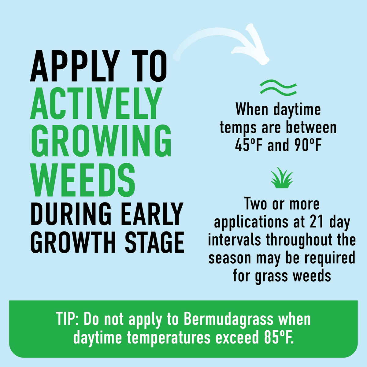 Tough Weed Killer for Northern Grasses L2726