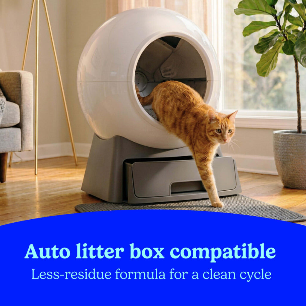 Clumping Multi Cat Litter with Carbon, 22 lb. C49557