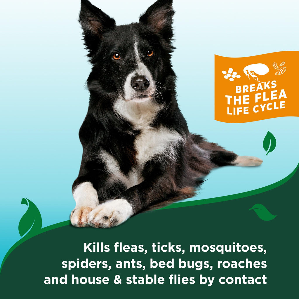 Waterless Flea & Tick Bath for Dogs 8 oz A95117