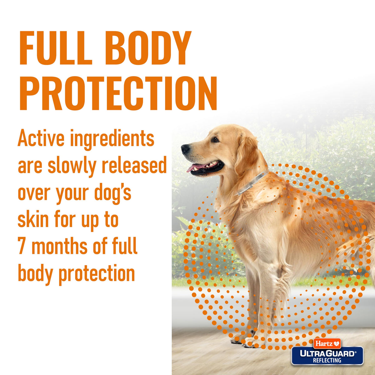 Flea & Tick Collar for Dogs and Puppies Y8435