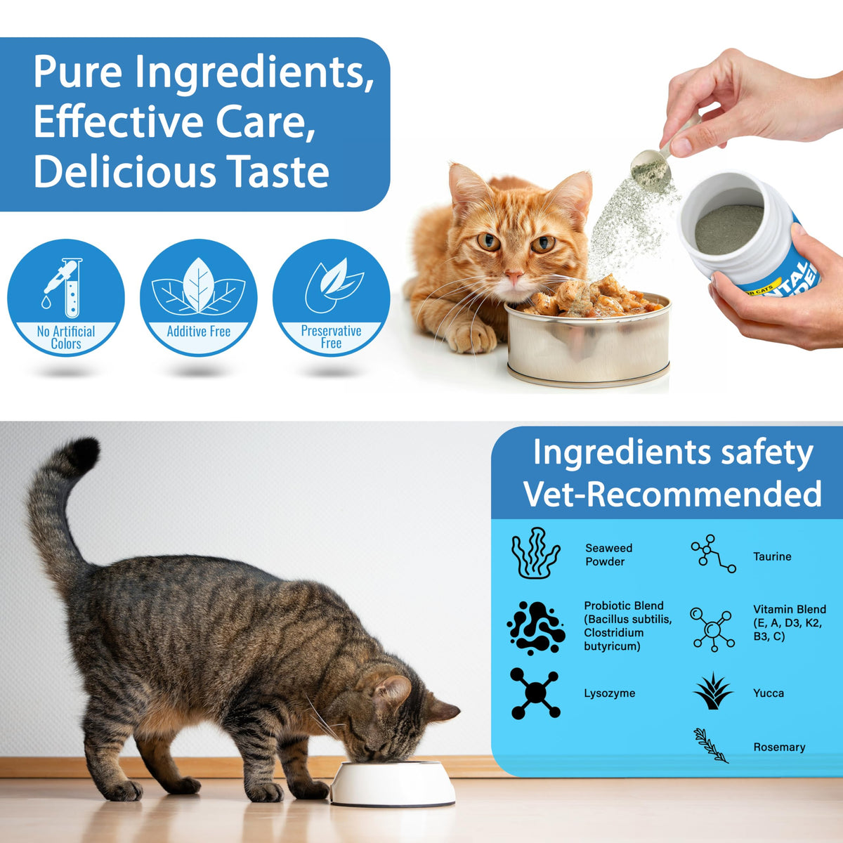 Cat Dental Powder Z6693