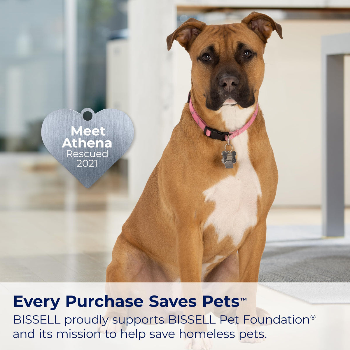 Upright Carpet Cleaner Z350205
