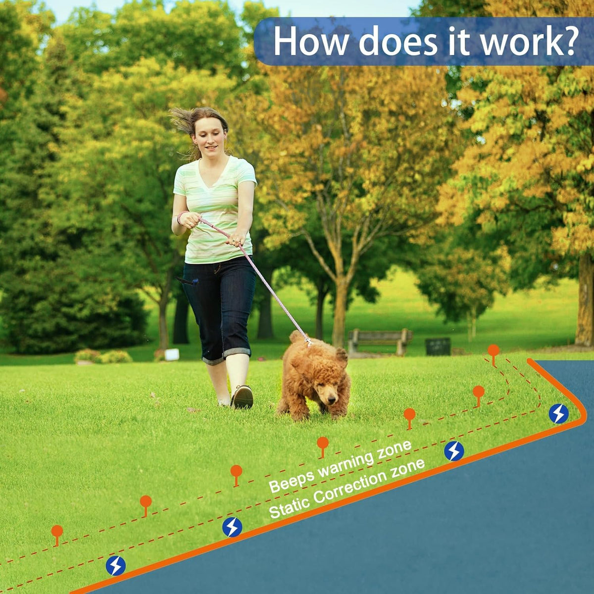 In-Ground Electric Dog Fence System with 2 Collars F10317